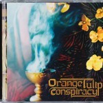 Orange Tulip Conspiracy Front Cover by butcherBaker aka Mike Bennewitz
